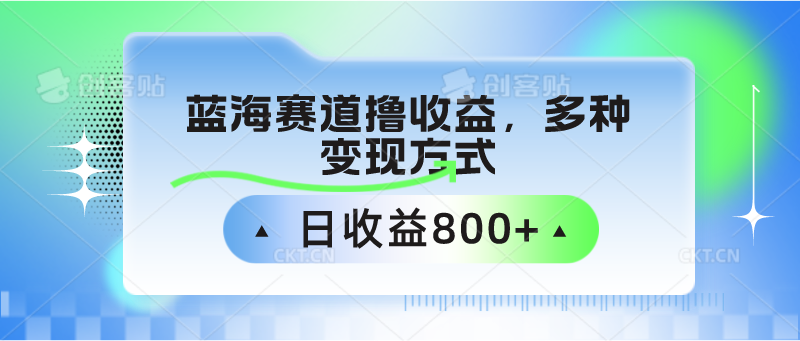 中老年人健身操瀚海跑道撸盈利，多种多样变现模式，日盈利800-网创e学堂