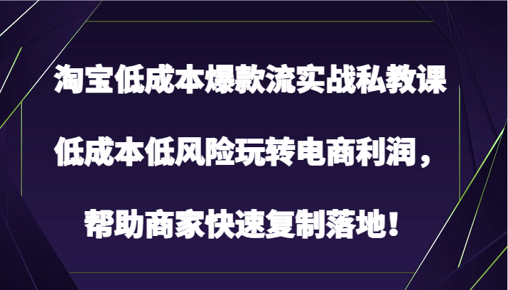 淘宝网降低成本爆品流实战演练私教，降低成本中低风险轻松玩电子商务盈利，帮助企业快速复制落地式！-网创e学堂