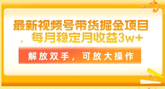 全新视频号带货掘金队新项目，每月平稳月盈利1w ，解锁新技能，可变大实际操作-网创e学堂