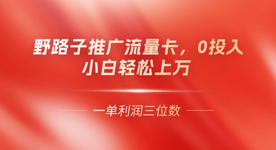 0门槛推广流量卡，一单收益上百，0投入，小白月入过W-中创网_分享中创网创业资讯_最新网络项目资源-网创e学堂