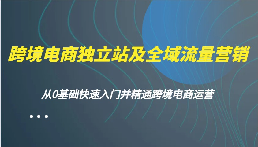 跨境电商独立站及全域流量营销，从0基础快速入门并精通跨境电商运营-中创网_分享中创网创业资讯_最新网络项目资源-网创e学堂