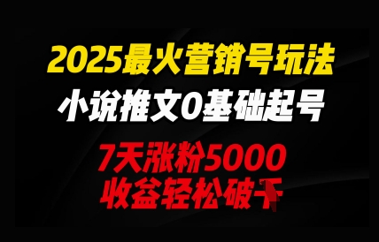 2025最火营销号玩法：小说推文0基础起号，7天涨粉5000，收益轻松破k-中创网_分享中创网创业资讯_最新网络项目资源-网创e学堂