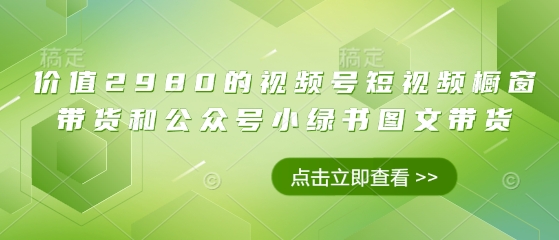 价值2980的视频号短视频橱窗带货和公众号小绿书图文带货-中创网_分享中创网创业资讯_最新网络项目资源-网创e学堂