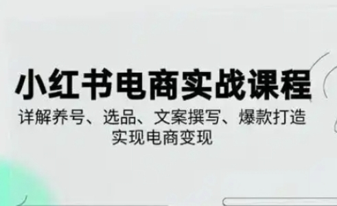 小红书从0-1实操课(2023-2025)，详解养号、选品、文案撰写、爆款打造实现电商变现-中创网_分享中创网创业资讯_最新网络项目资源-网创e学堂