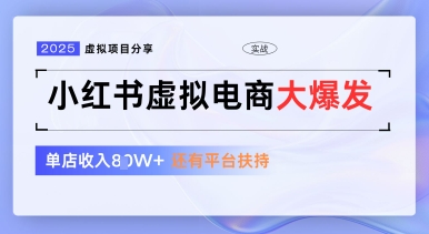 小红书虚拟电商项目，平台大力免费流量扶持，低门槛1拖3玩法-中创网_分享中创网创业资讯_最新网络项目资源-网创e学堂