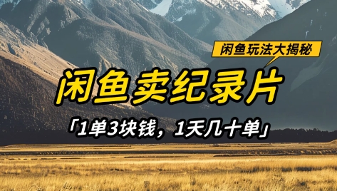 闲鱼卖纪录片1单3块钱，1天几十单，项目稳定有潜力-中创网_分享中创网创业资讯_最新网络项目资源-网创e学堂