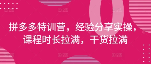 拼多多特训营，经验分享实操，课程时长拉满，干货拉满(更新25年4月)-中创网_分享中创网创业资讯_最新网络项目资源-网创e学堂