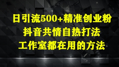 日引流500+精准创业粉，抖音共情自热打法，工作室都在用的方法-中创网_分享中创网创业资讯_最新网络项目资源-网创e学堂